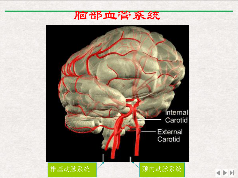 神经系统常见疾病中医药指南定稿课件.pptx_第2页