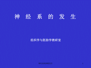 神经系统和眼发生课件.ppt