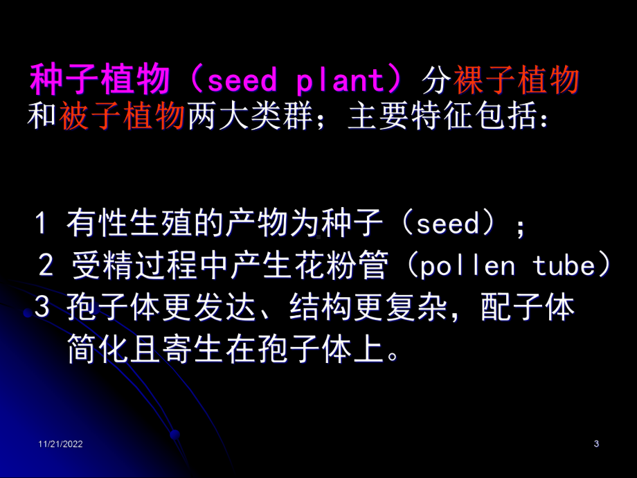 种子植物的营养器官-根课件.ppt_第3页