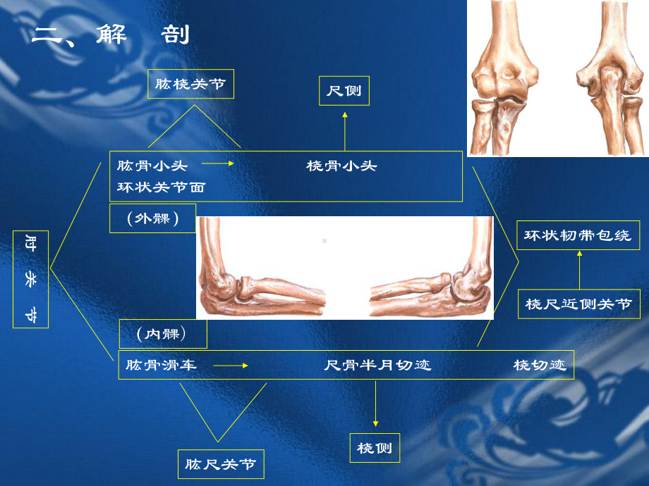 肘关节扭挫伤课件.pptx_第3页