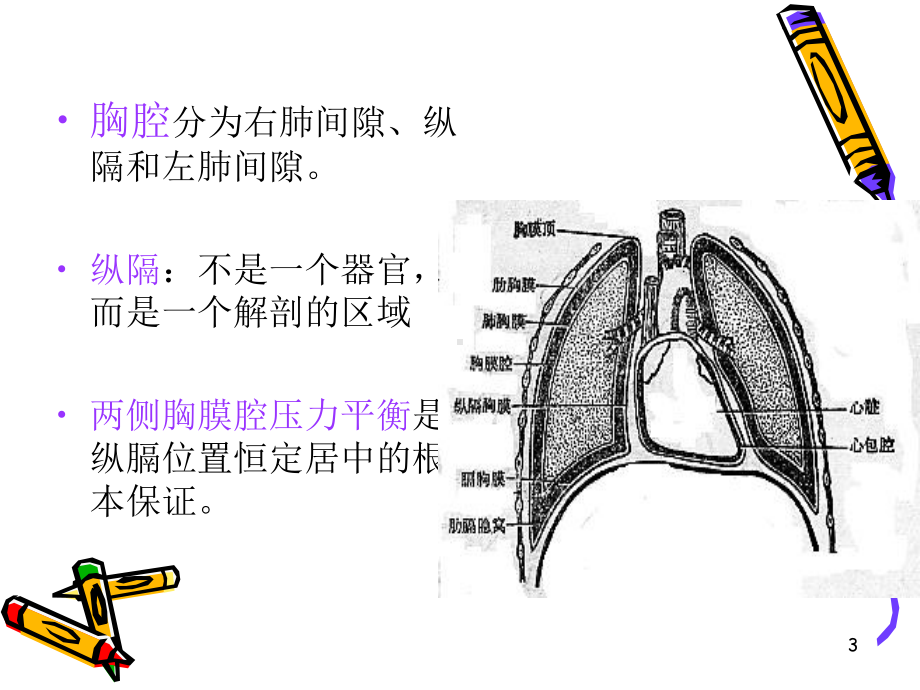 肋骨骨折气胸血胸病人的护理课件-2.ppt_第3页