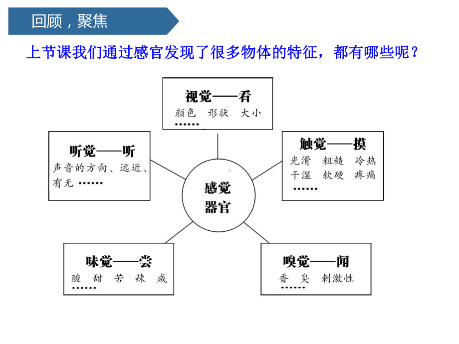 科学课件《观察与比较》优质教科版5.pptx_第3页