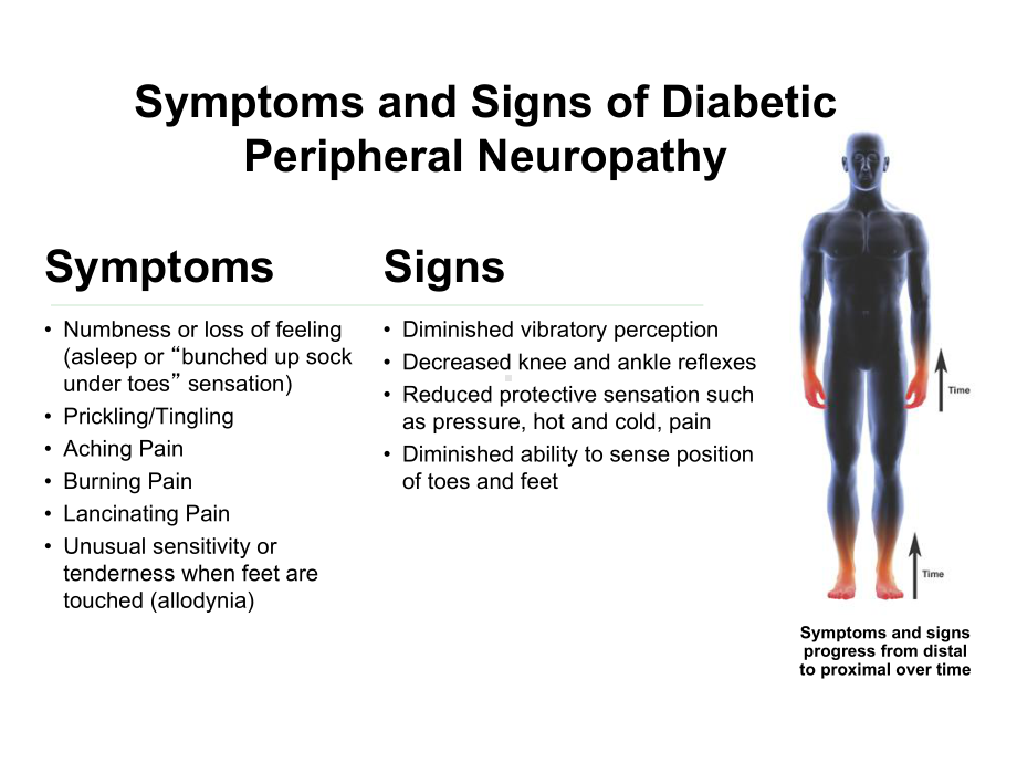 糖尿病足神经病理学-课件.ppt_第3页