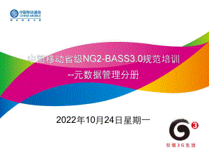 NG2-BASS30规范培训-技术规范-元数据管理分册课件.ppt