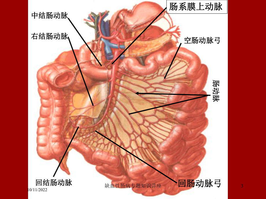 缺血性肠病专题知识讲座培训课件.ppt_第3页