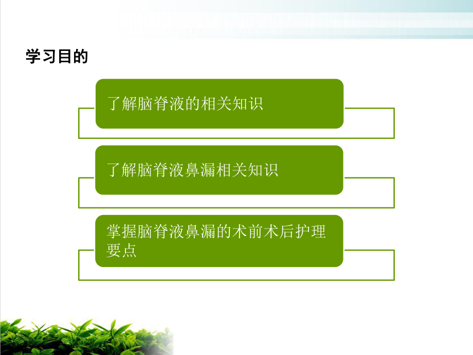 经鼻内镜下脑脊液修补术护理课件.pptx_第1页