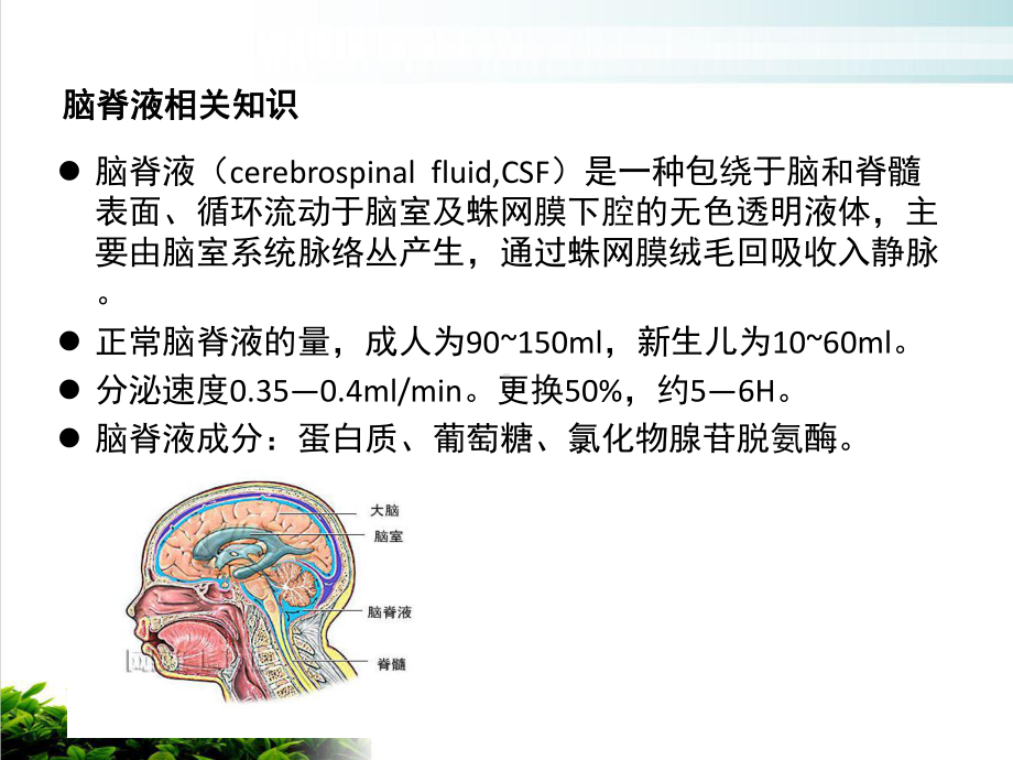 经鼻内镜下脑脊液修补术护理课件.pptx_第2页