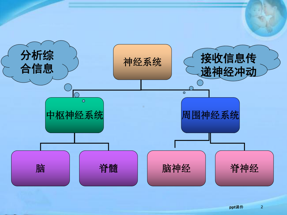 神经系统疾病常见症状体征-课件.ppt_第2页