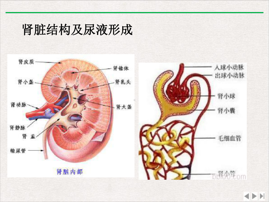 经皮肾镜碎石取石的护理完整版课件.pptx_第3页