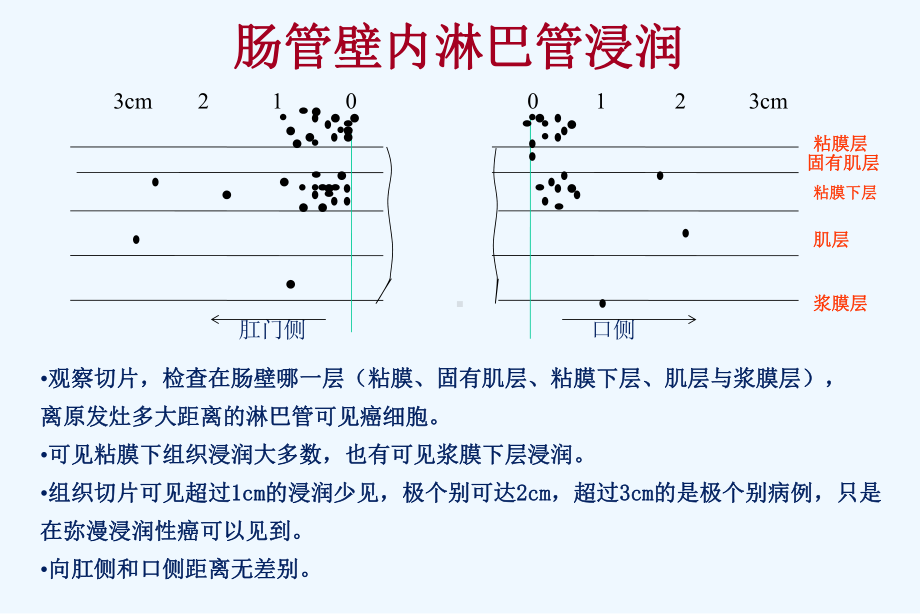 结肠直肠淋巴流向2课件.ppt_第2页