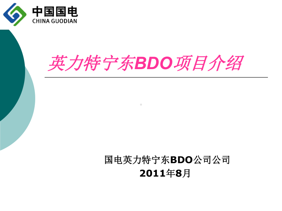 BDO项目介绍解析课件.ppt_第1页