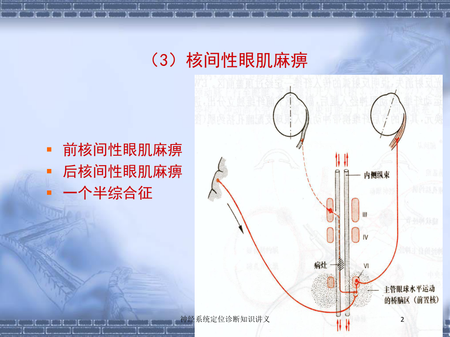 神经系统定位诊断知识讲义培训课件.ppt_第2页