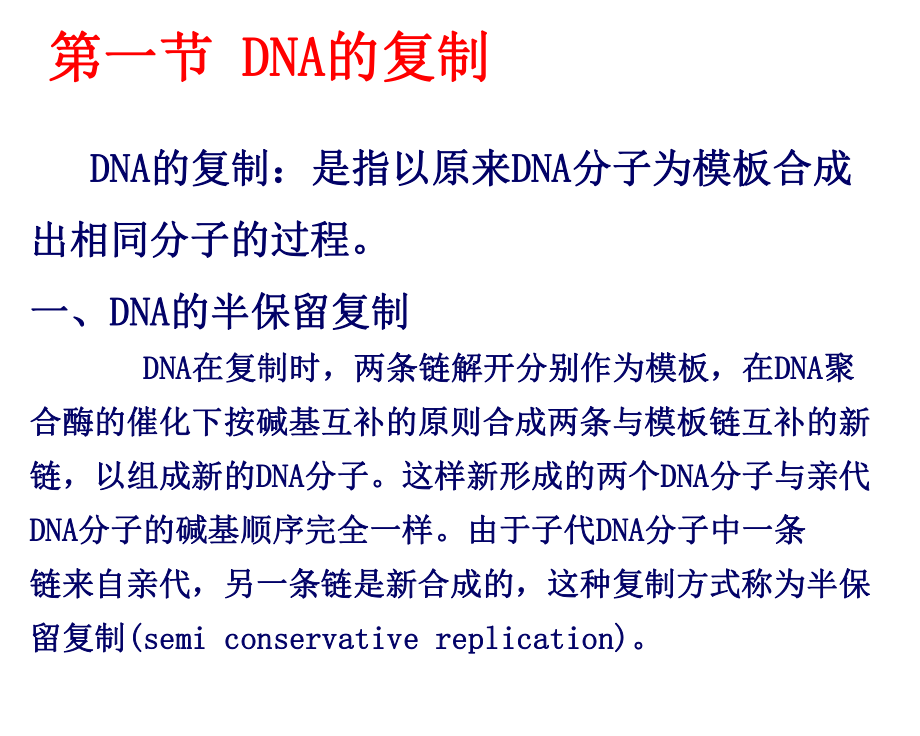 DNA的复制和修复08课件.ppt_第3页