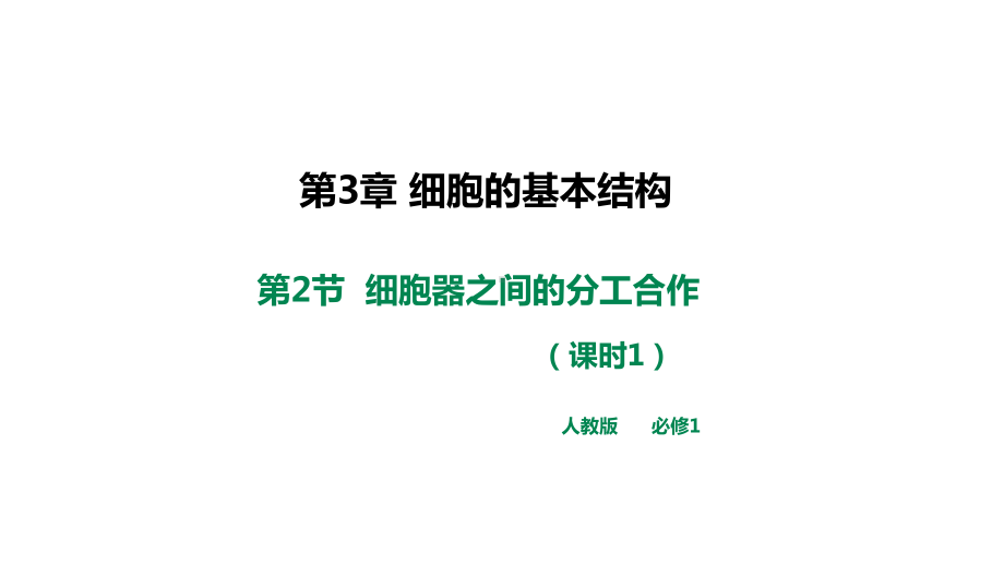 (新教材)细胞器之间的分工合作公开课课件人教版1.ppt_第2页