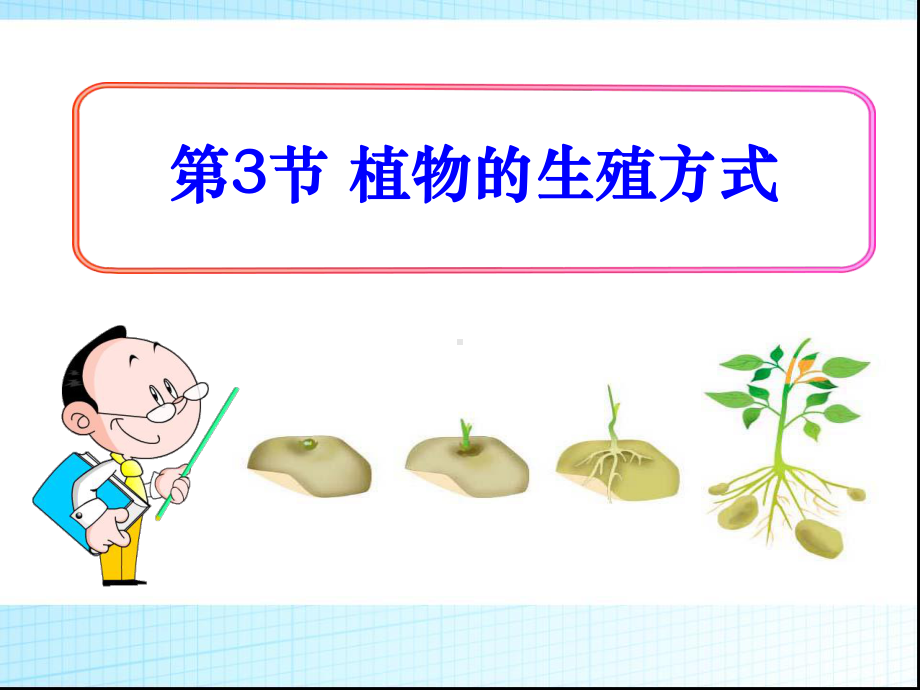 《植物的生殖方式》优秀课件.pptx_第1页