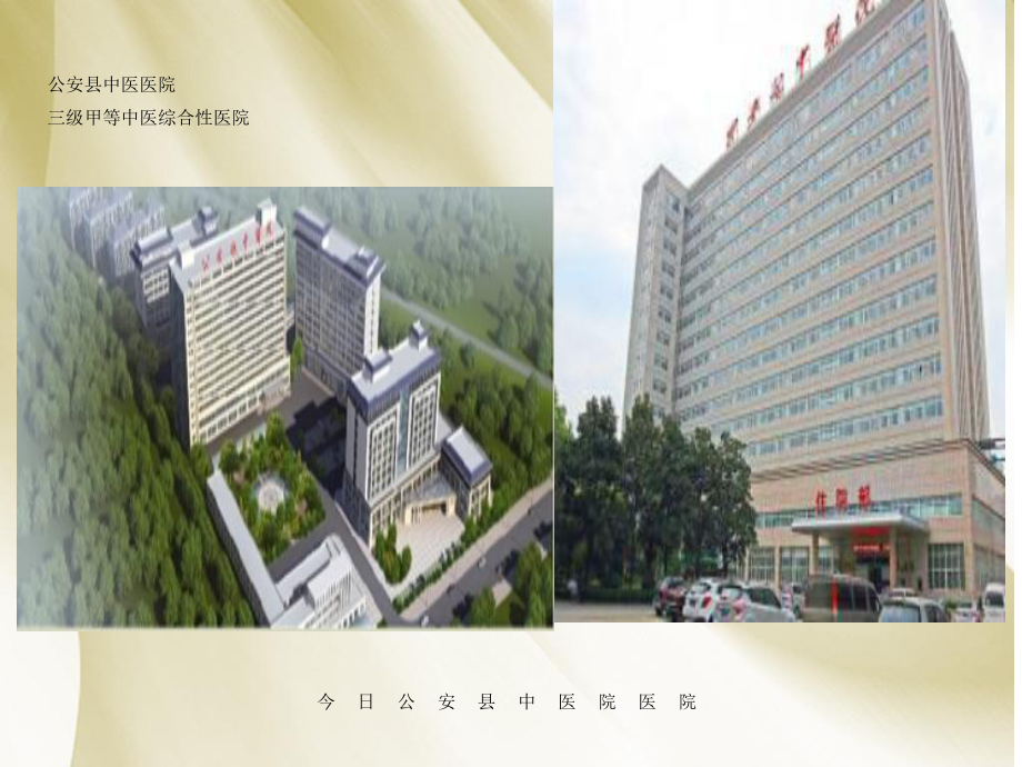 癌痛规范化治疗示范病房创建工作汇报课件.ppt_第3页