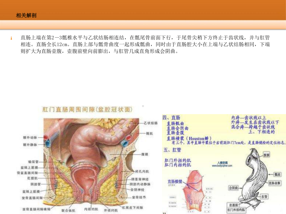 直肠癌根治术课件.ppt_第3页