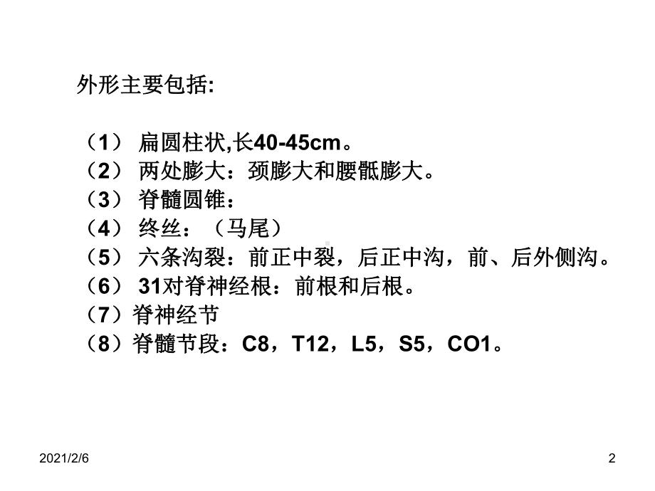 神经系统结构课件.ppt_第2页