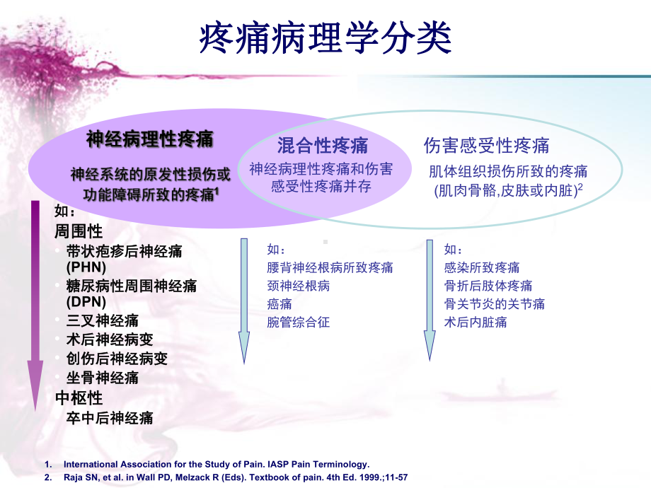 神经病理性疼痛的诊断和治疗课件-2.ppt_第2页