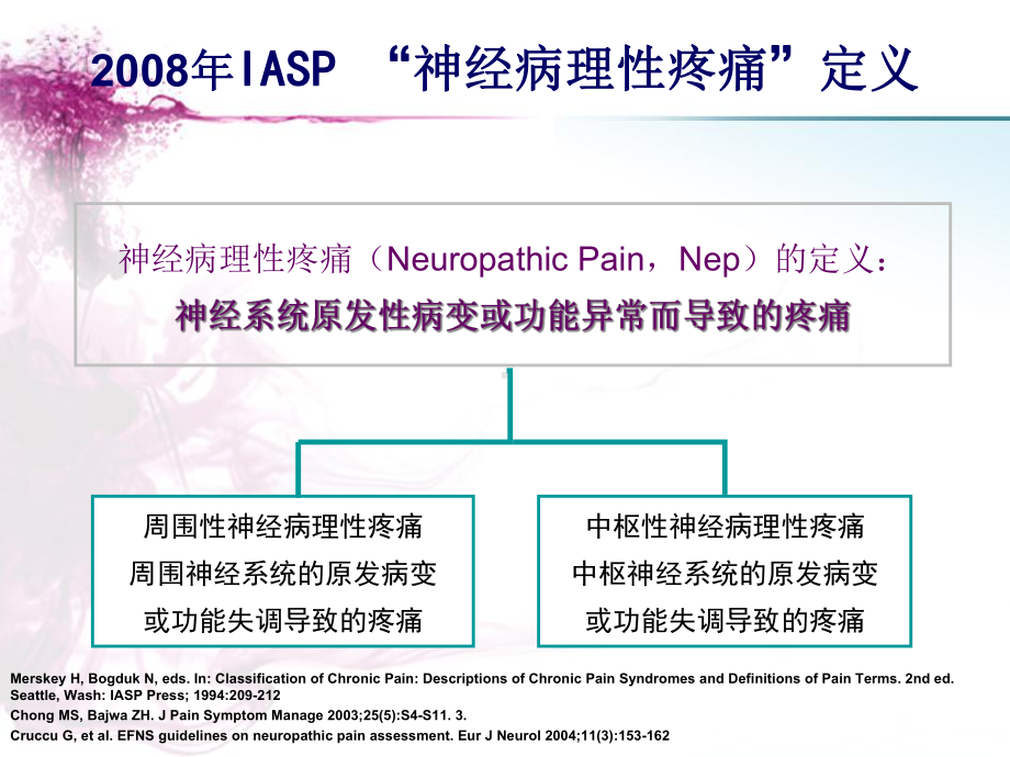 神经病理性疼痛的诊断和治疗课件-2.ppt_第3页