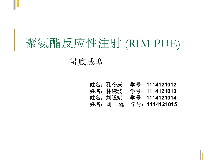 RIM-PUE(反应注射成型)解析课件.ppt_第1页