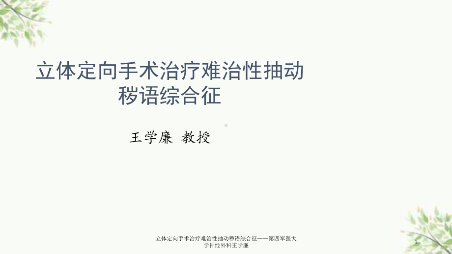 立体定向手术治疗难治性抽动秽语综合征课件.ppt_第1页