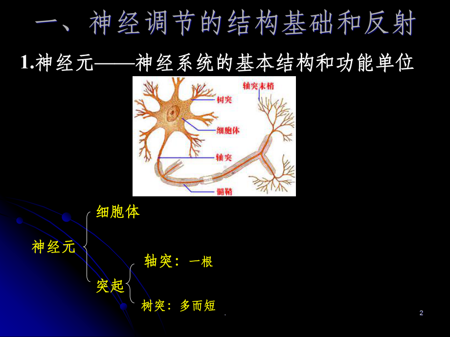 1节通过神经系统的调节课件.ppt_第2页