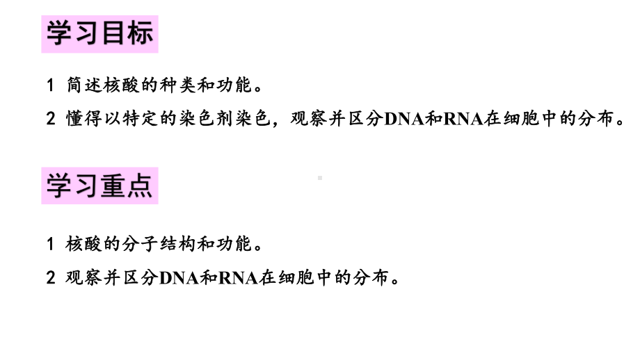 (新教材)高中化学《核酸》公开课课人教版件1课件.pptx_第3页