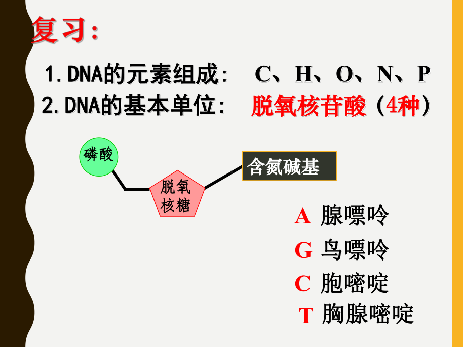 DNA分子的结构(共28张)课件.pptx_第2页