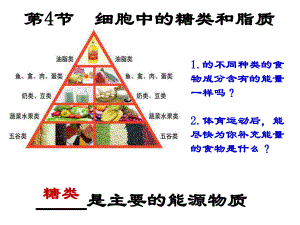 (新教材)高中化学《糖类》教学课件人教版1.pptx