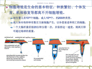 细胞生物学主题医学知识课件.ppt