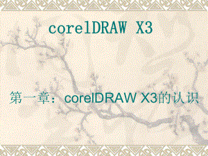 corelDRAWX3完整课程-课件.ppt