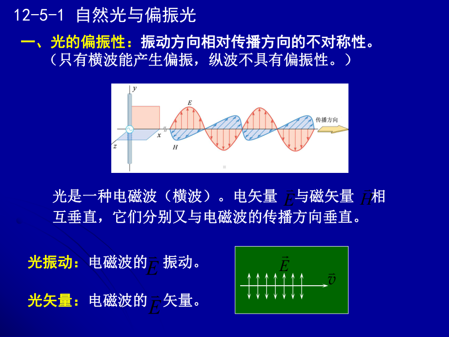 12-5偏振和光的双折射课件.ppt_第2页