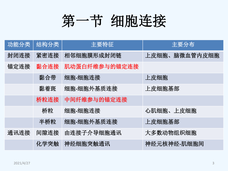 第十篇细胞连接与细胞粘连课件.ppt_第3页