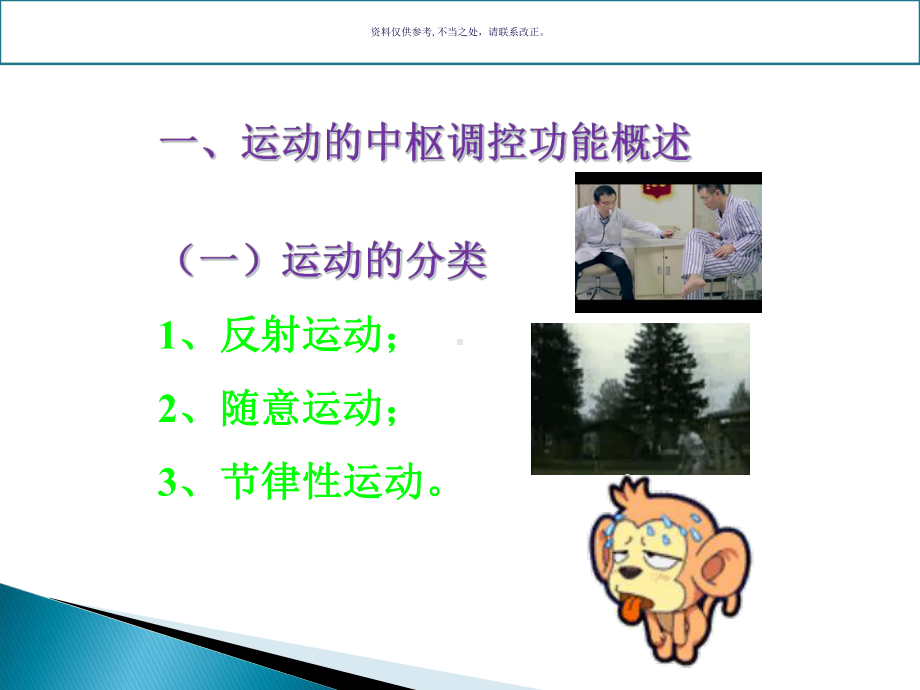 神经系统运动机能课件.ppt_第1页