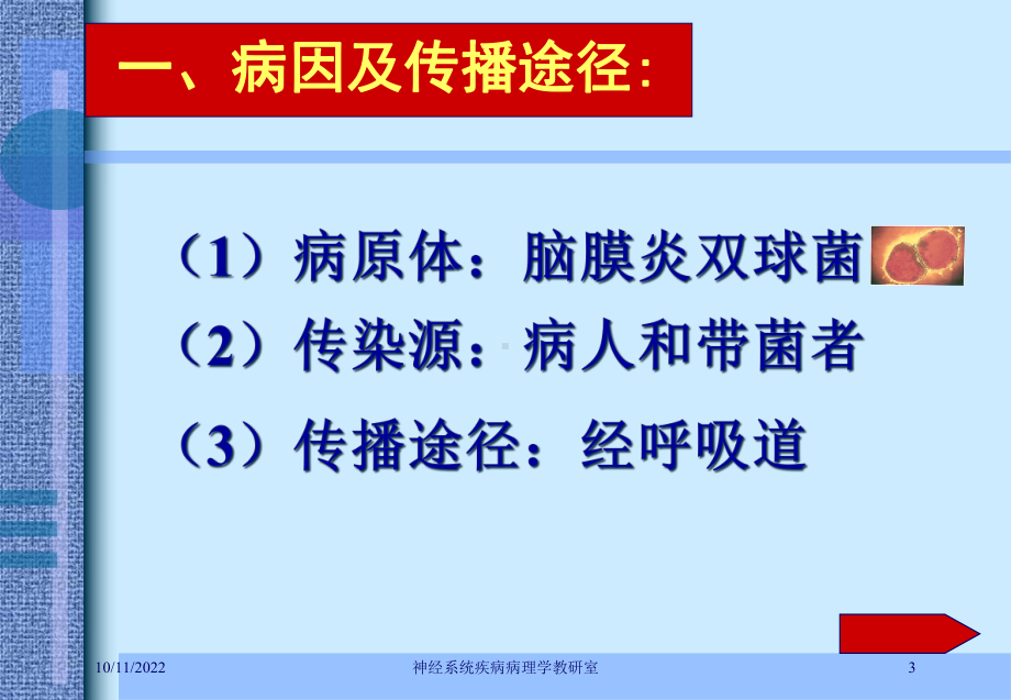 神经系统疾病病理学教研室培训课件.ppt_第3页