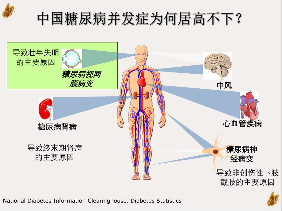 糖尿病微血管病变基础用药芪明颗粒示范课件.ppt_第3页