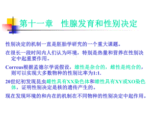 A第11章性腺发育和性别决定课件.ppt