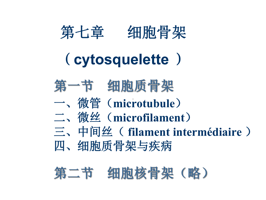 细胞骨架系统细胞生物学医学课件.ppt_第3页