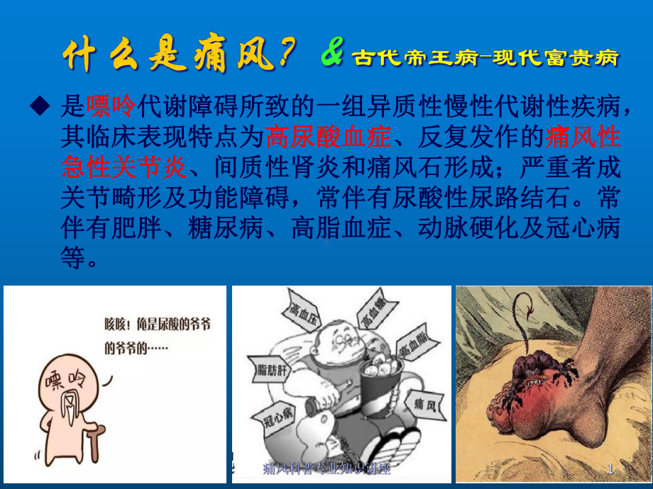 痛风科普专业知识讲座培训课件.ppt_第1页