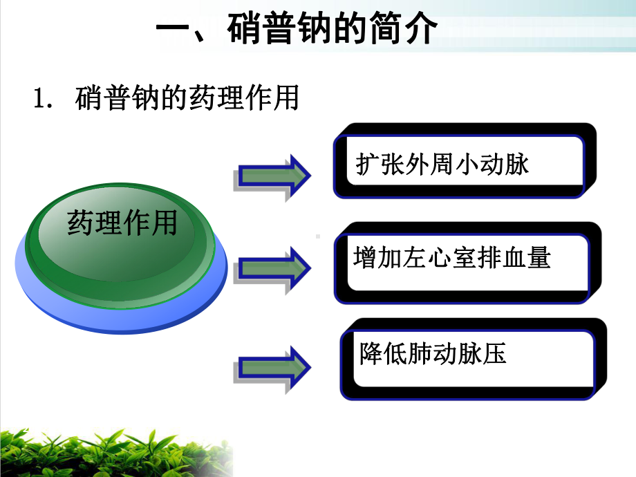 硝普钠的护理[1]精选课件.ppt_第3页