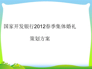 202X国家开发银行春季集体婚礼方案.ppt