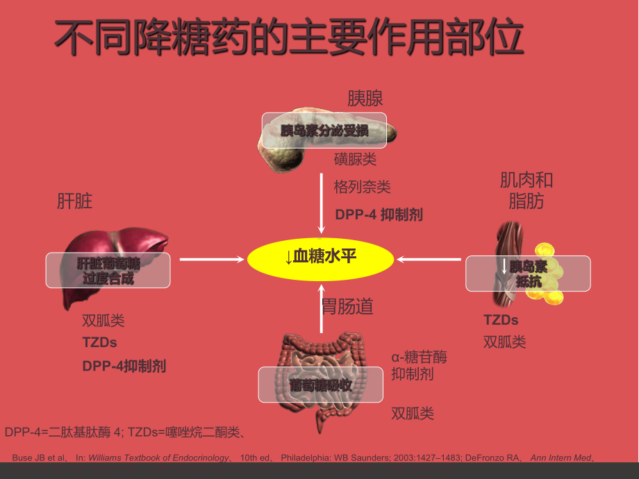 糖尿病的口服药物及胰岛素治疗-课件.pptx_第2页