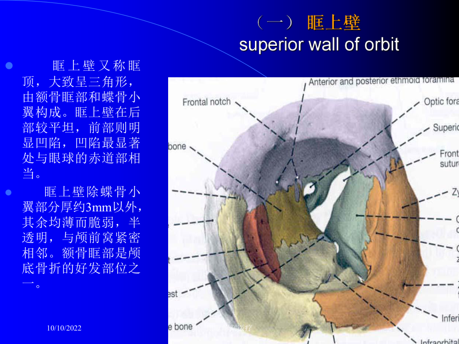 眼眶解剖医疗培训课件.ppt_第2页