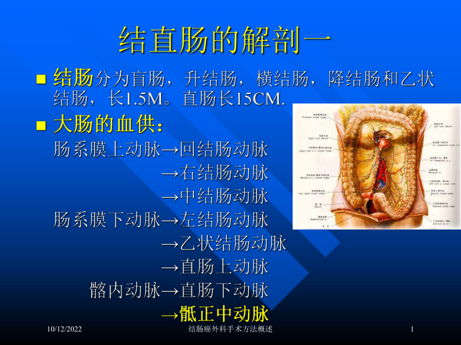 结肠癌外科手术方法概述培训课件.ppt_第1页