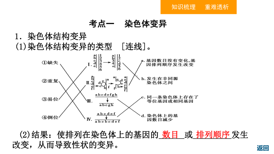 (新教材)染色体变异完美课件人教版1.ppt_第3页