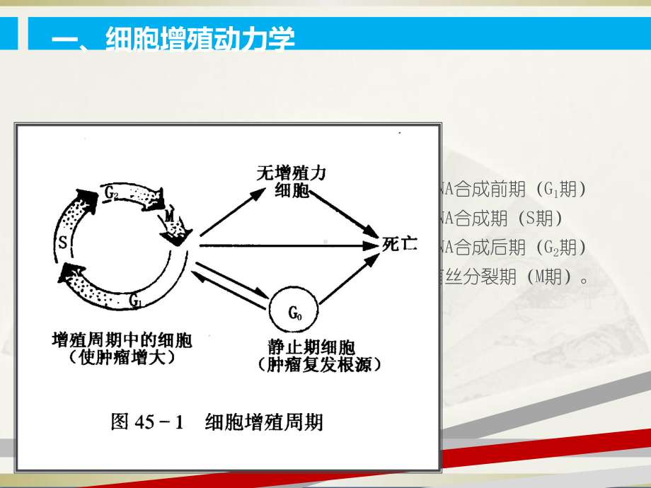 第二十六章恶性肿瘤的药物治疗课件.ppt_第3页