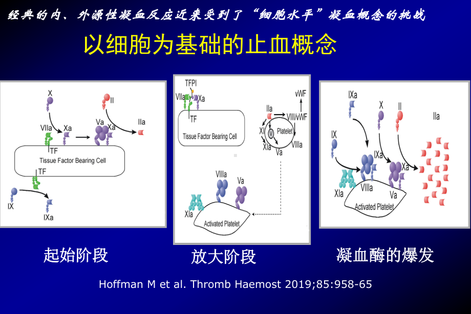 ACT及TEG的原理及操作课件.ppt_第3页