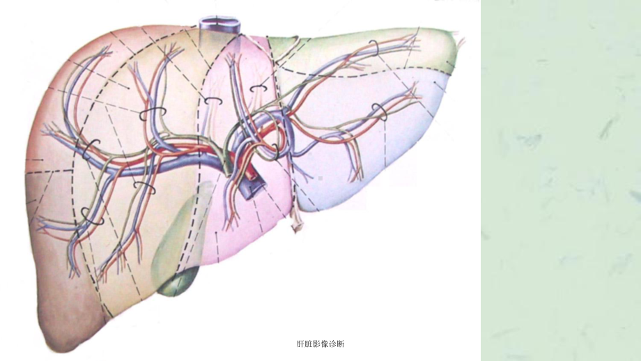 肝脏影像诊断课件.ppt_第1页