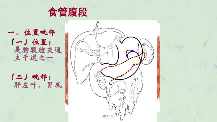 结肠上区课件.ppt_第2页